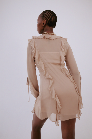 Cafe Mini Sheer Ruffle Dress