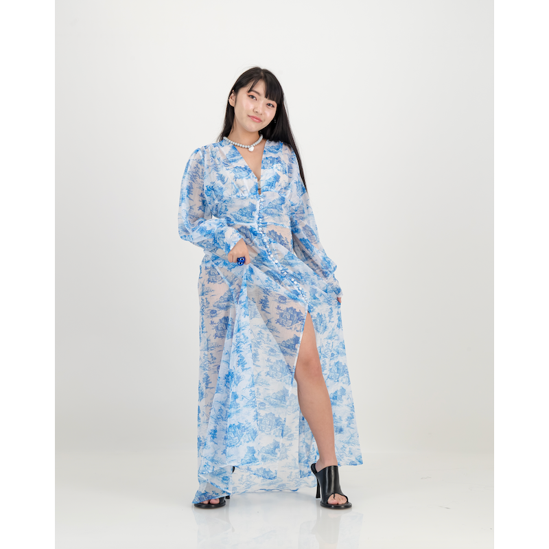 Yoryu Button Front Dress in Blue Toile de Jure