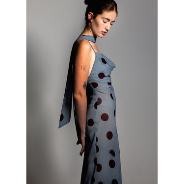 Powder Blue & Aubergine Polka Dot Sheer Cowl neck Dress
